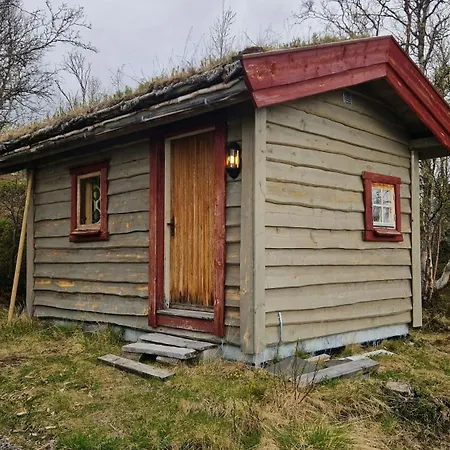 Timber With Views Near