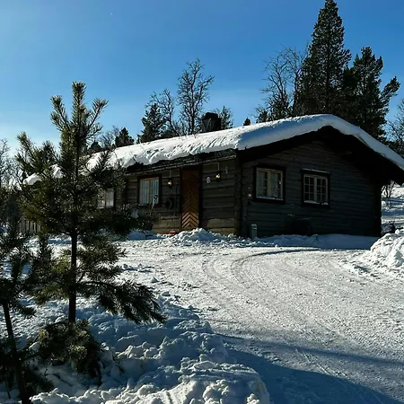 Timber With Views Near Røros