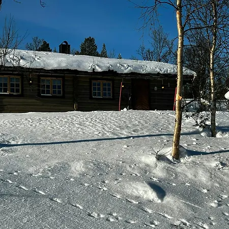 Timber With Views Near Røros